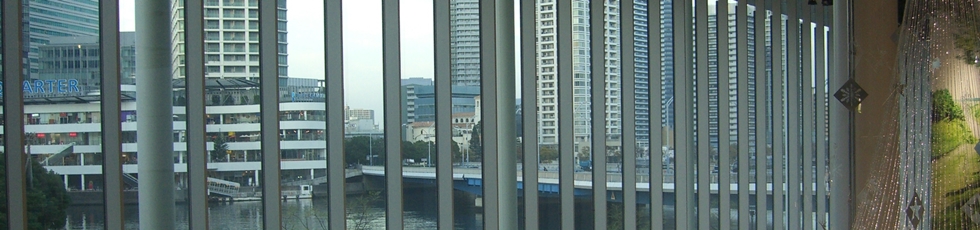 株式会社シラヤマ バックマリオン