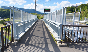 橋の集約に貢献の可能性