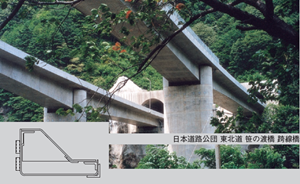 東北道・笹の渡橋跨線橋に設置されたガッタースクリーン